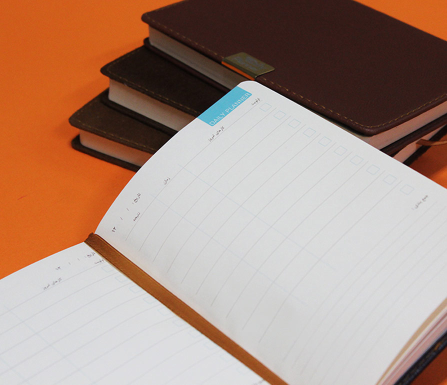 313-1 پلنر برنامه ریزی